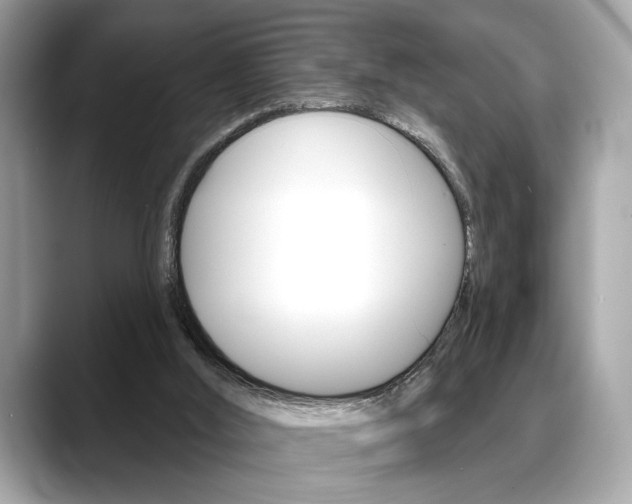 X0000088690012200705311006