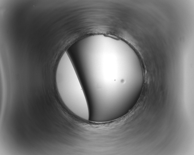 X0000088690013200705311006