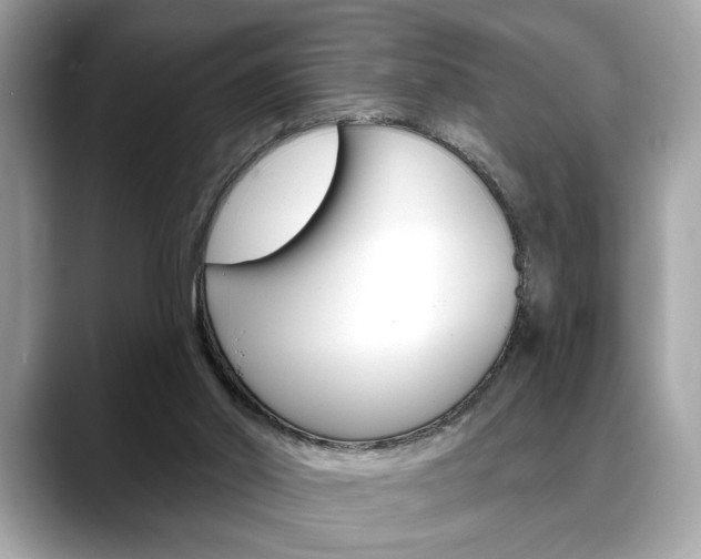 X0000088690014200705311006