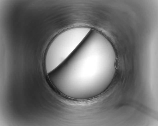 X0000088690015200705311006