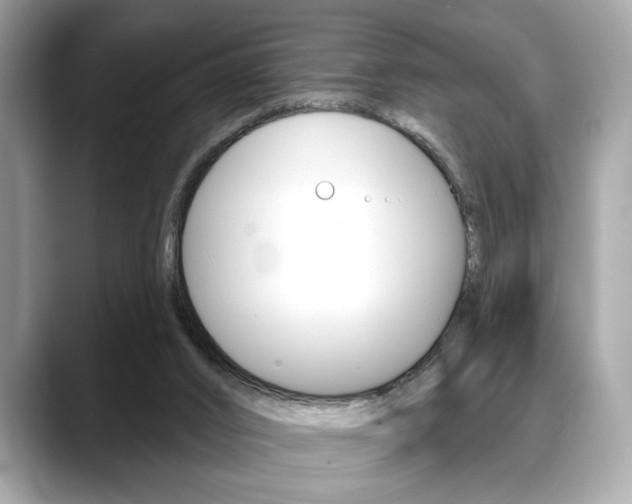 X0000088690016200705311006