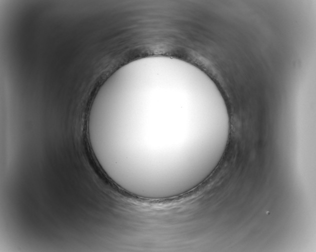 X0000088690018200705311006