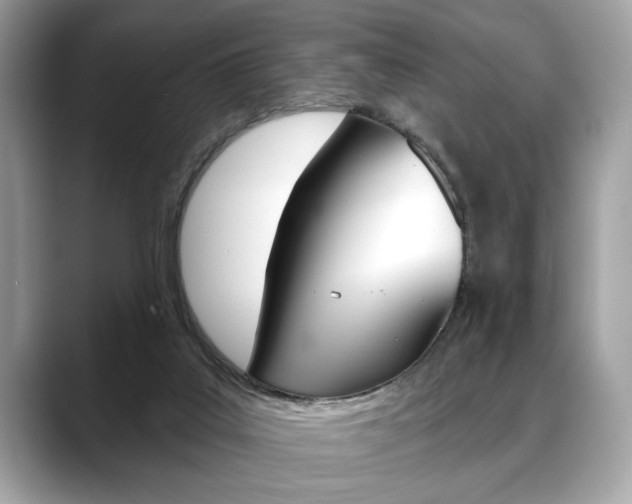 X0000088690019200705311006