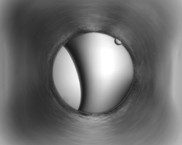 X0000088690020200705311006