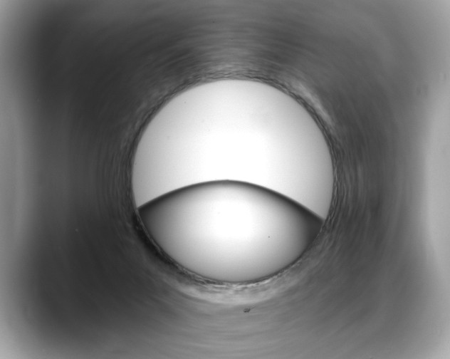 X0000088690023200705311006