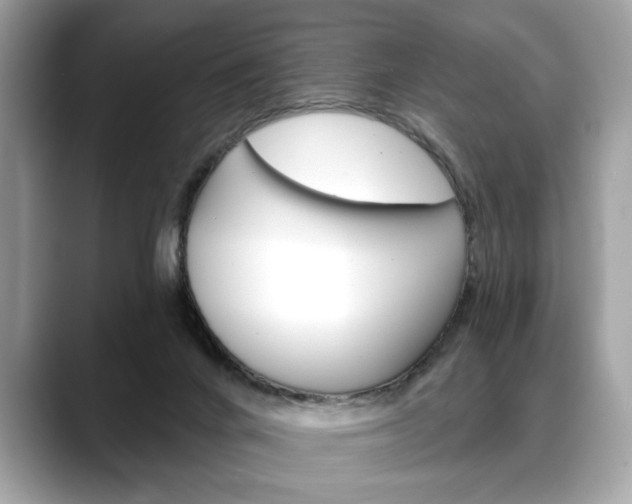 X0000088690024200705311006