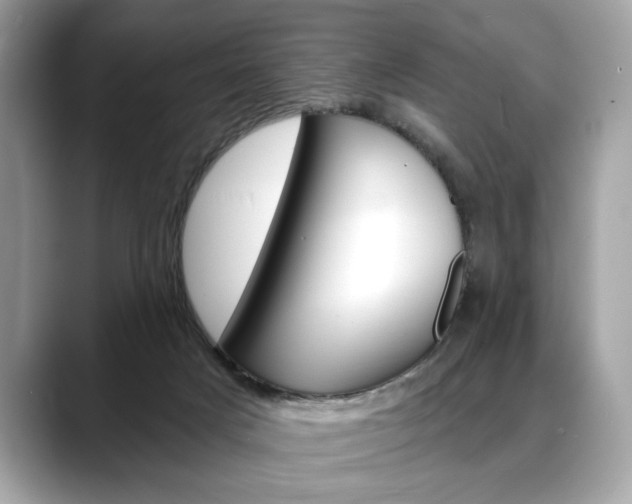 X0000088690025200705311006