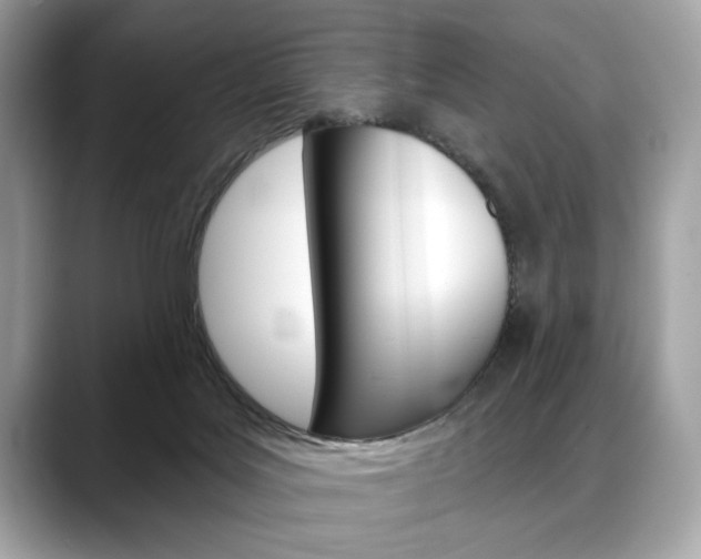 X0000088690027200705311006