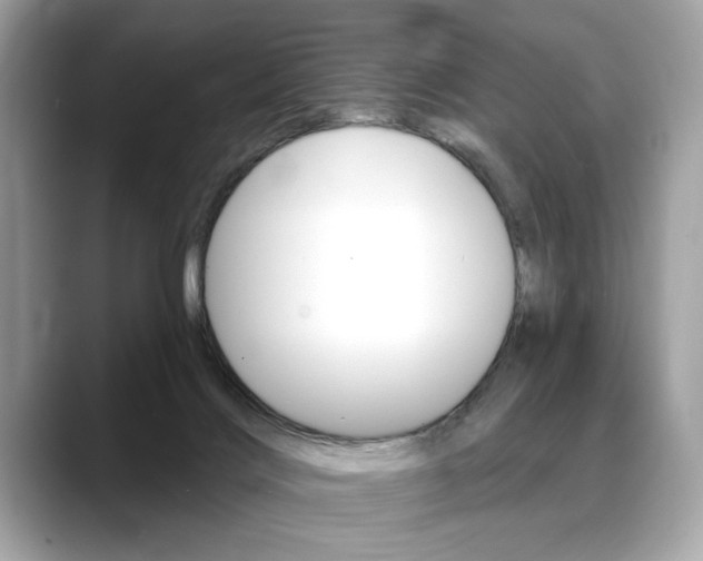 X0000088690028200705311006