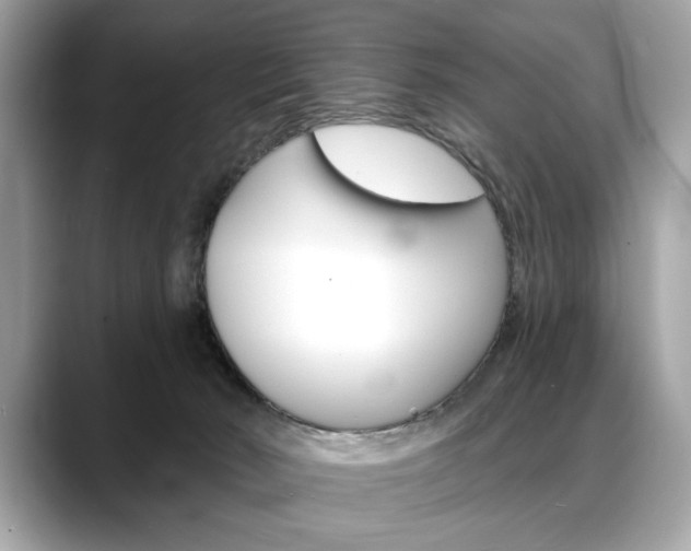 X0000088690030200705311006