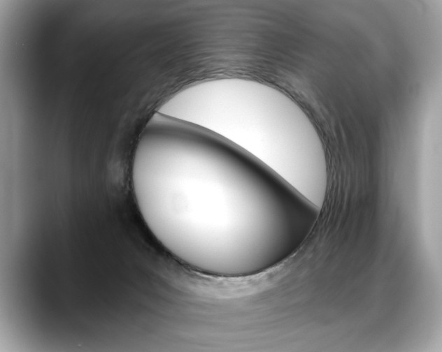 X0000088690031200705311006