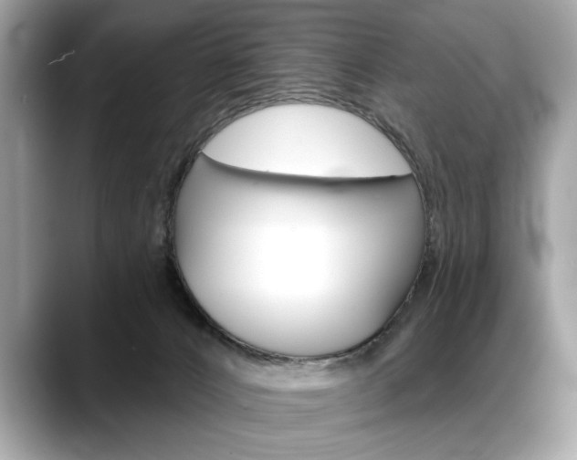 X0000088690032200705311006
