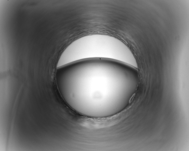 X0000088690033200705311006