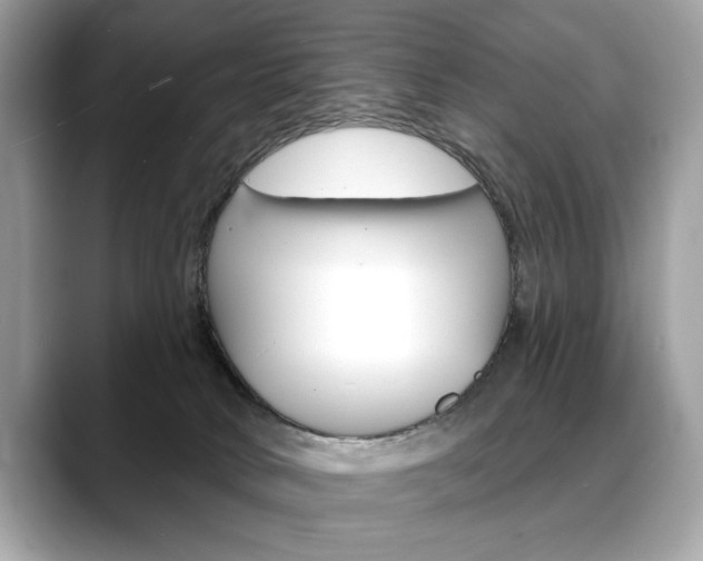 X0000088690034200705311006