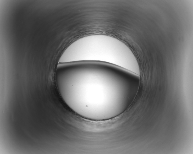 X0000088690035200705311006