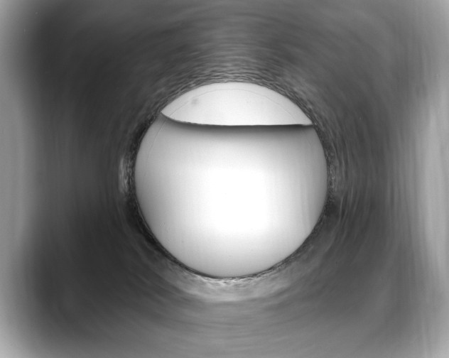 X0000088690038200705311006