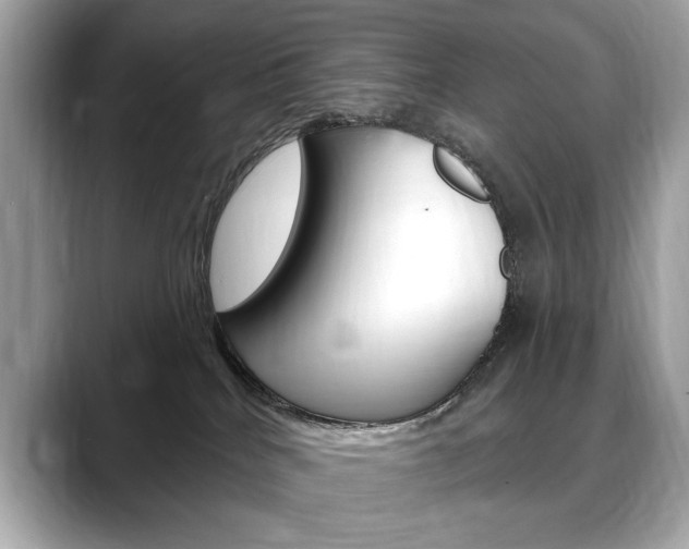 X0000088690040200705311006