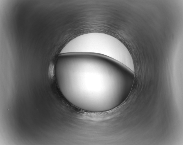 X0000088690041200705311006