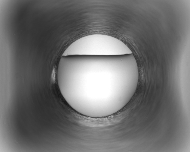 X0000088690042200705311006