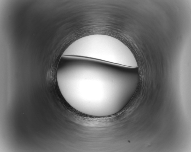 X0000088690044200705311006