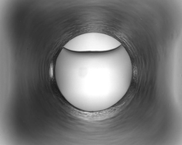 X0000088690046200705311006