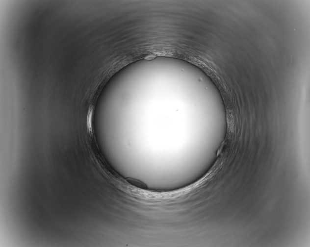 X0000088690047200705311006