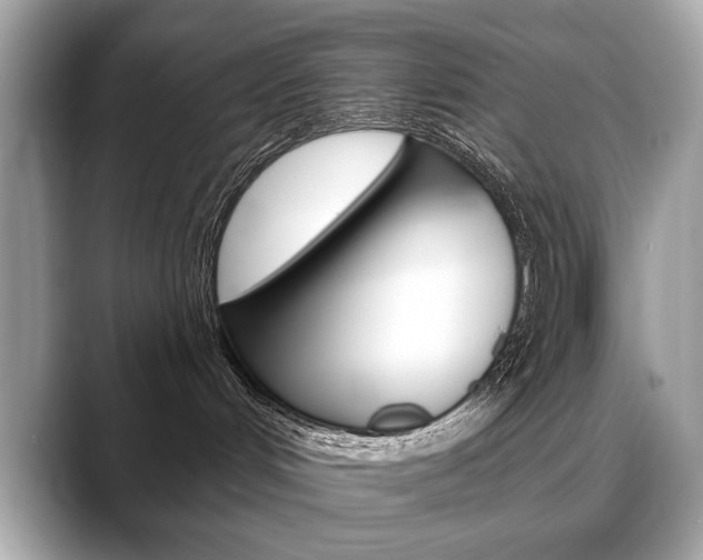 X0000088690048200705311006