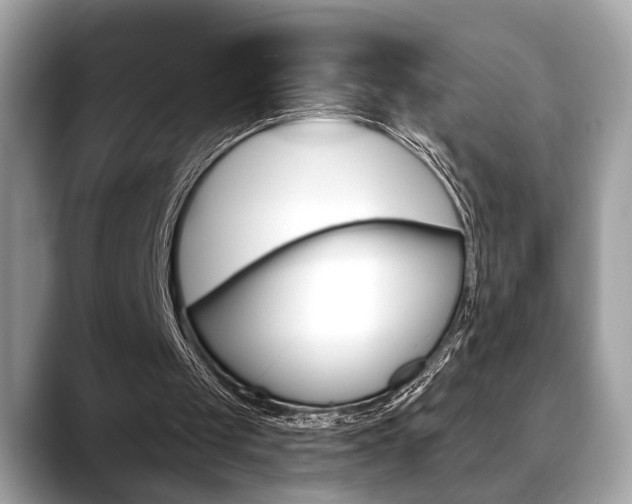 X0000088690049200705311005