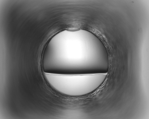 X0000088690051200705311005