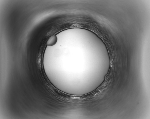 X0000088690052200705311005