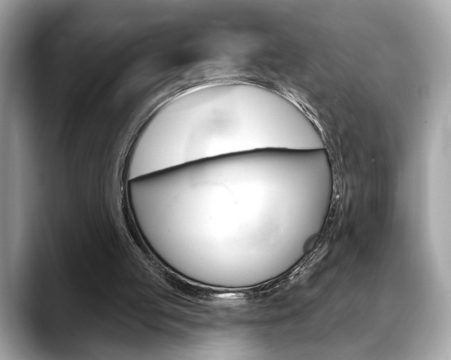 X0000088690053200705311005