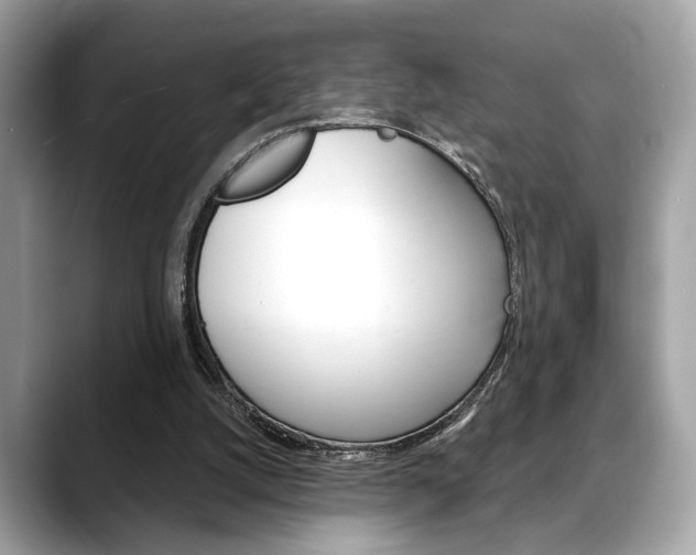 X0000088690056200705311005