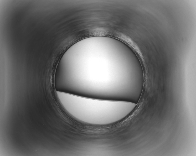 X0000088690057200705311005
