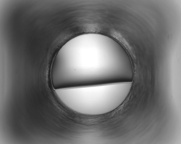 X0000088690058200705311005