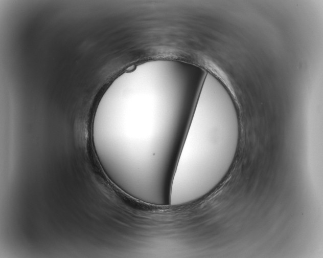 X0000088690059200705311005