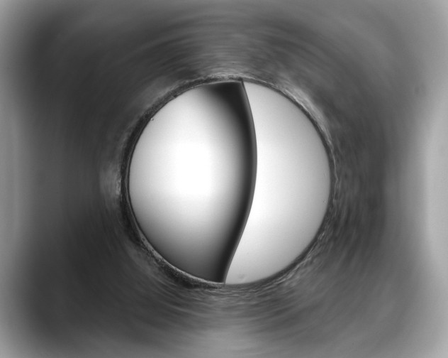 X0000088690060200705311005