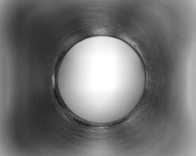 X0000088690061200705311005