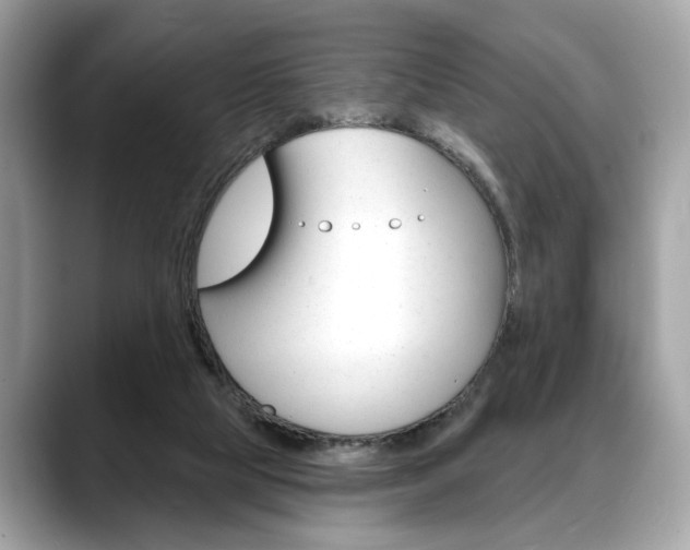 X0000088690065200705311005