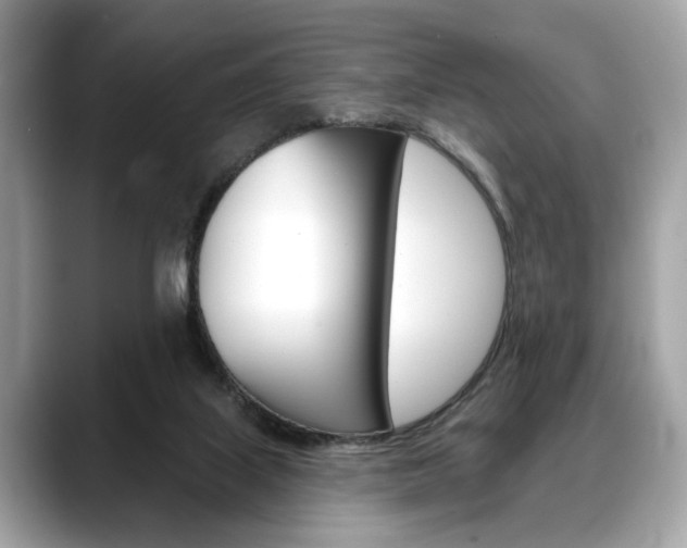 X0000088690067200705311005