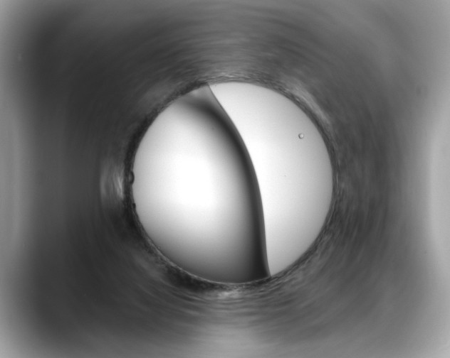 X0000088690068200705311005