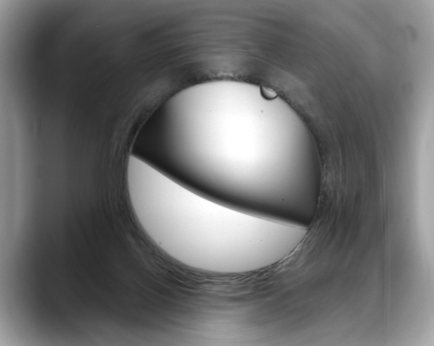 X0000088690070200705311005