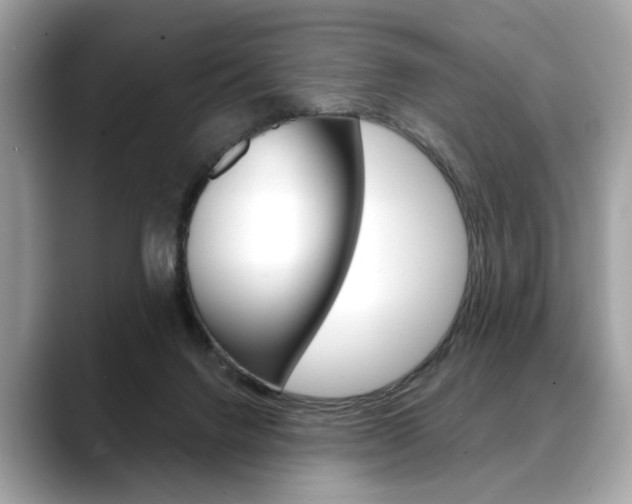 X0000088690072200705311005