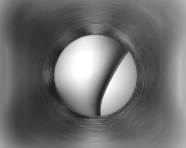 X0000088690073200705311005