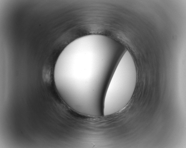 X0000088690074200705311005