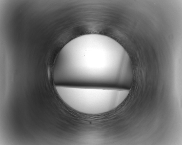 X0000088690075200705311005
