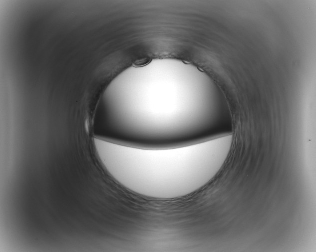 X0000088690076200705311005