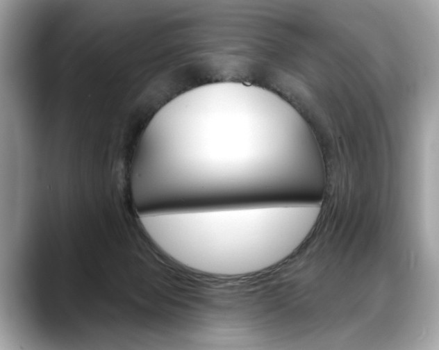 X0000088690077200705311005