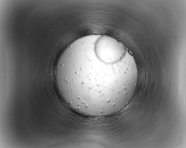 X0000088690078200705311005
