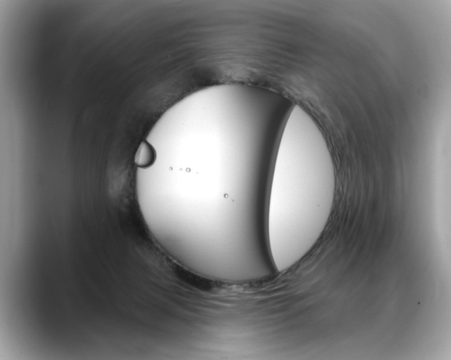 X0000088690079200705311005