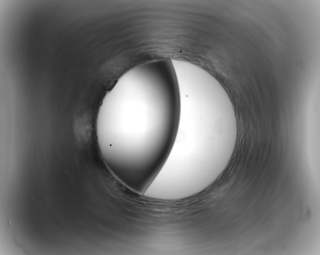 X0000088690080200705311005